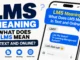 LMS Meaning
